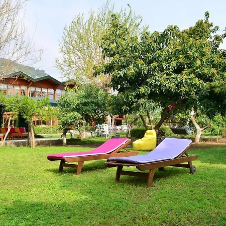 Doga Kemer