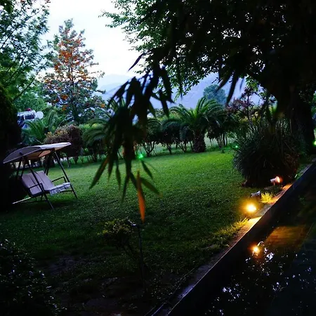 Hotel Doga *