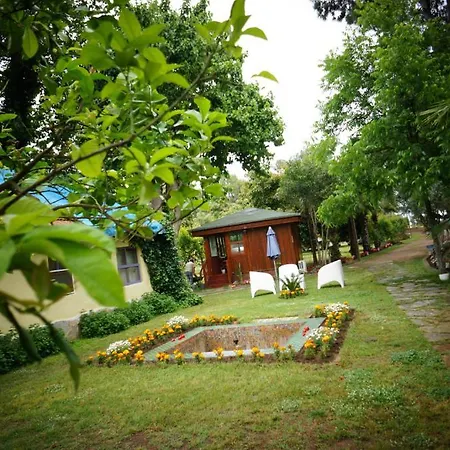 Hotel Doga